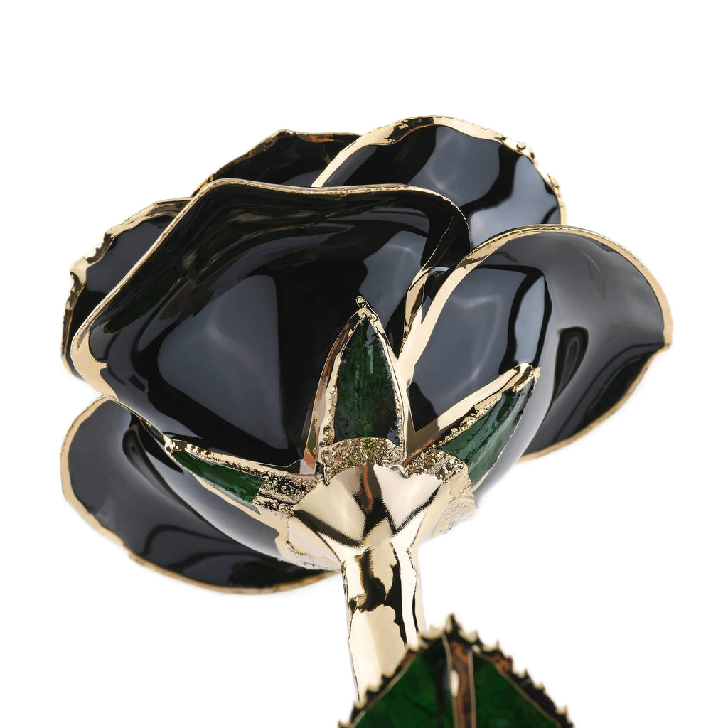 Timeless Rose (Black)
