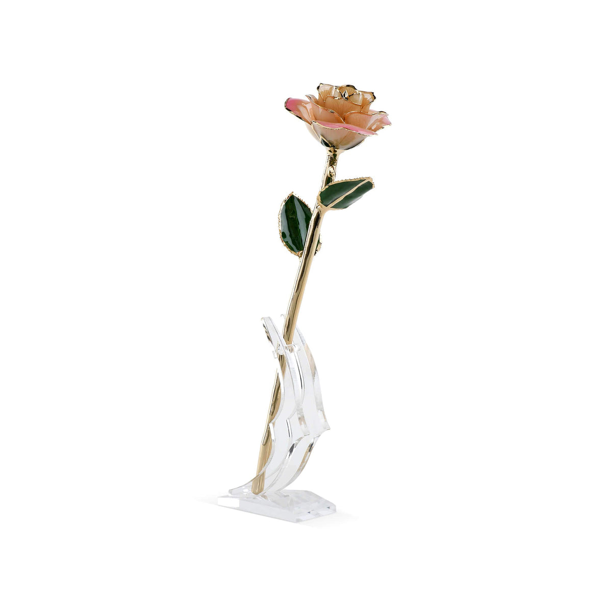 Timeless Rose (Light Pink)