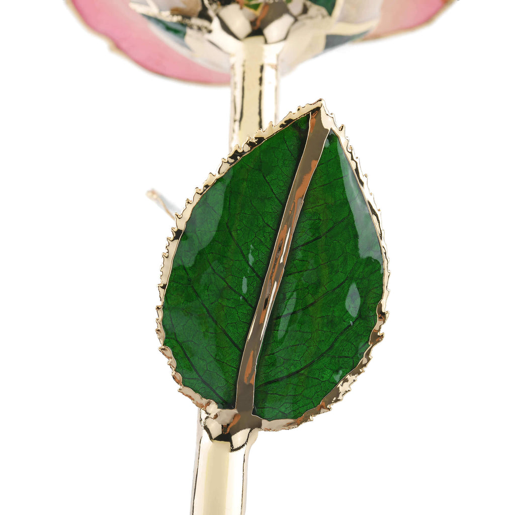 Timeless Rose (Light Pink)