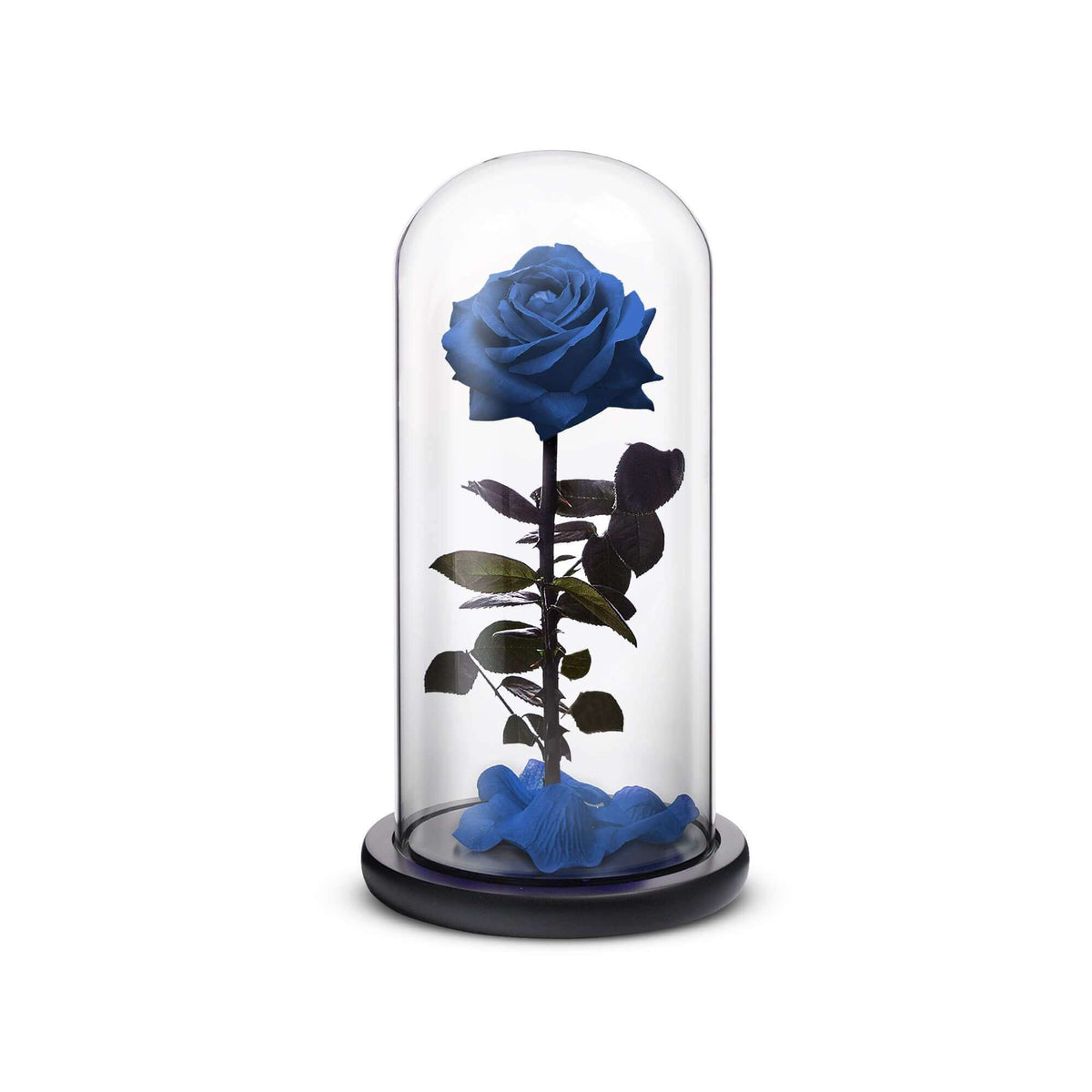 Everlasting Rose (Blue)